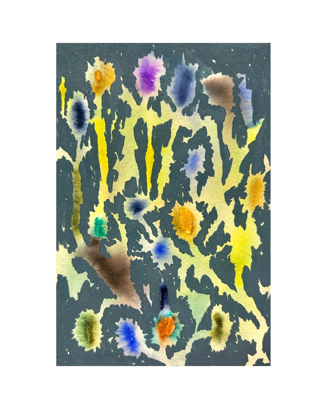 Wild Flower