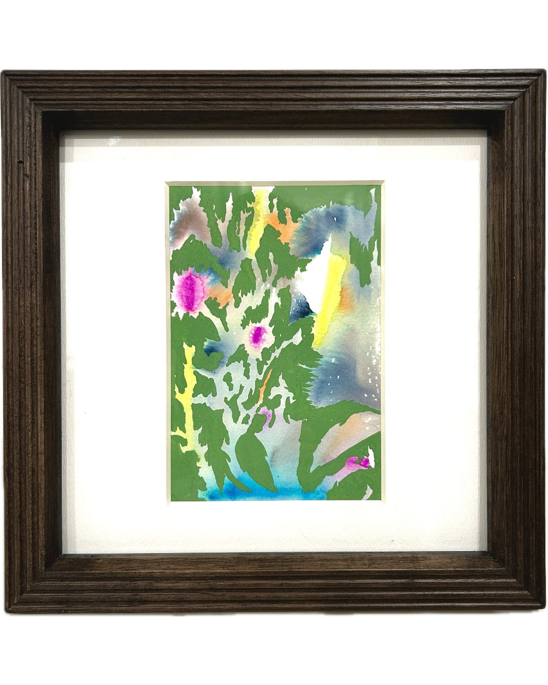 Coral reef