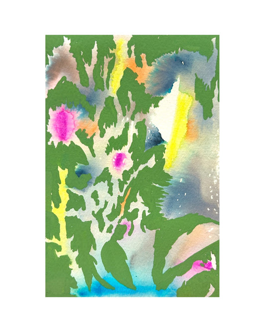 Coral reef